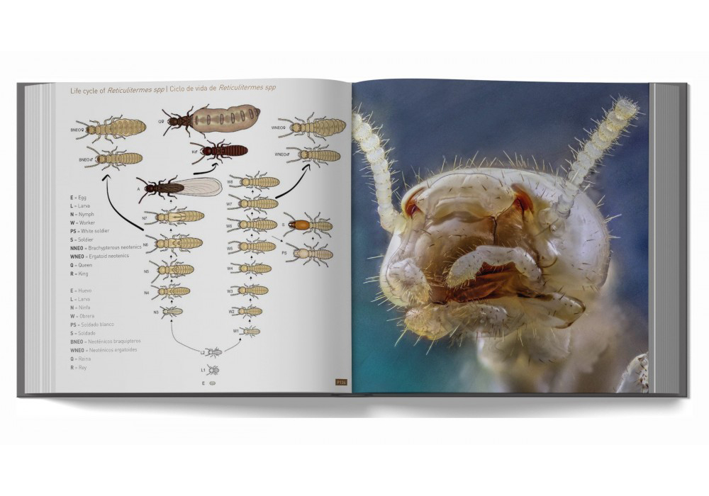 Libro 660 Fotografías sobre las termitas y su control